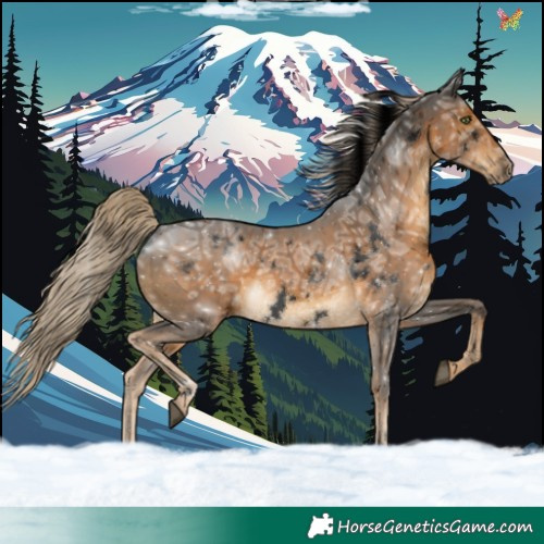 Horse Color:Void White Spotted Chocolate Palomino Ice 