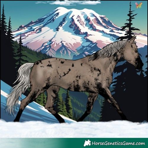 Horse Color:Void White Spotted Silver Grullo Rabicano 