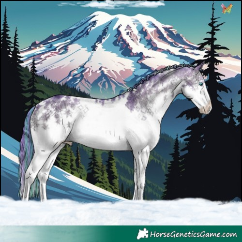 Horse Color:Painted Watercolor White Spotted Brown Ice Onyx Splash Rabicano