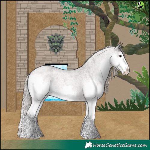 Horse Color:Silver Blue Roan Splash Appaloosa 