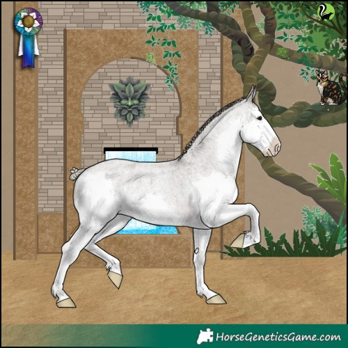 Horse Color:Silver Blue Roan Splash Varnish 