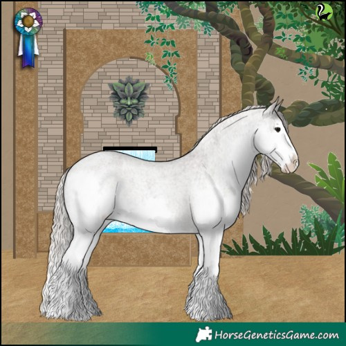 Horse Color:Silver Blue Roan Splash Appaloosa 