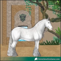 Horse Color:Silver Blue Roan Splash Appaloosa 