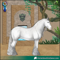 Horse Color:Silver Blue Roan Splash Appaloosa