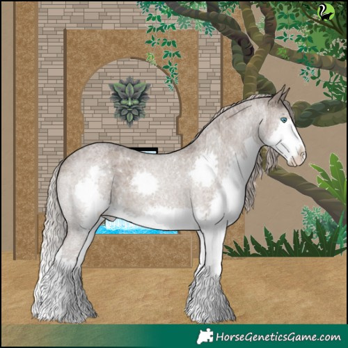 Horse Color:Silver Grullo Roan Splash Brindle