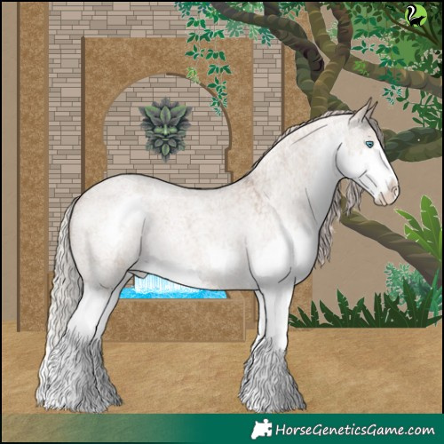 Horse Color:Silver Grullo Roan Splash 