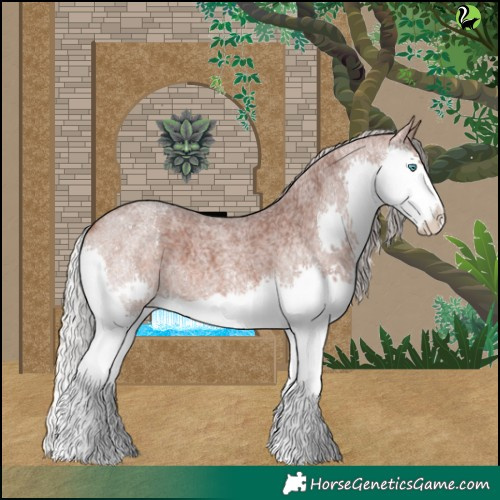 Horse Color:Silver Brown Roan Splash 