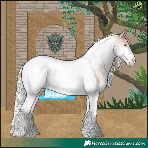 Horse Color:Silver Classic Champagne Roan Splash Tobiano Appaloosa 