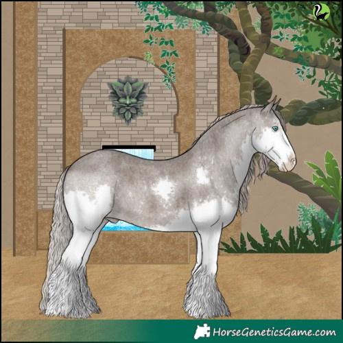 Horse Color:Silver Blue Roan Splash