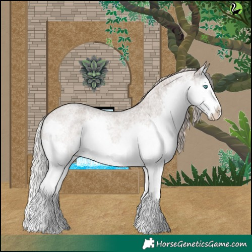 Horse Color:Silver Grullo Roan Splash Appaloosa 