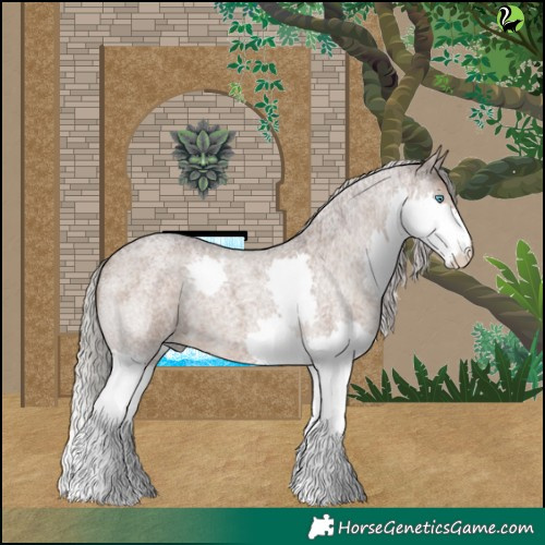 Horse Color:Silver Grullo Roan Splash