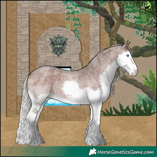 Horse Color:Silver Brown Roan Splash 