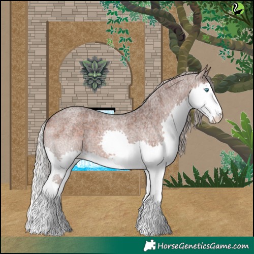 Horse Color:Silver Brown Roan Splash 