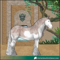 Horse Color:Silver Brown Roan Splash 