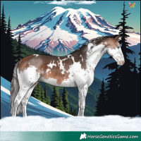 Horse Color:White Spotted Bay Splash Rabicano 