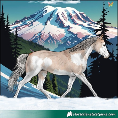 Horse Color:Silver Bay Roan Dun Splash 