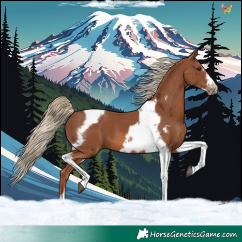 Horse Color:Chestnut Tobiano Frame 