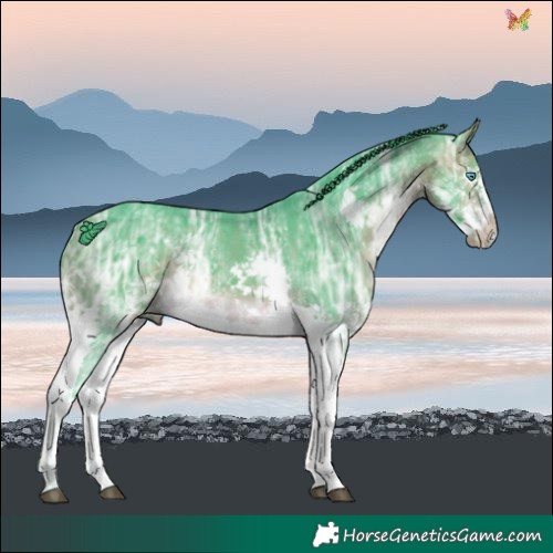 Horse Color:Watercolor White Spotted Brown Ice Splash 