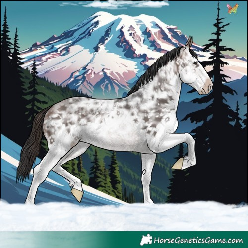 Horse Color:White Spotted Brown Ice Sabino Splash