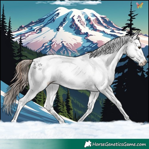 Horse Color:Liver Chestnut Ice Sabino 