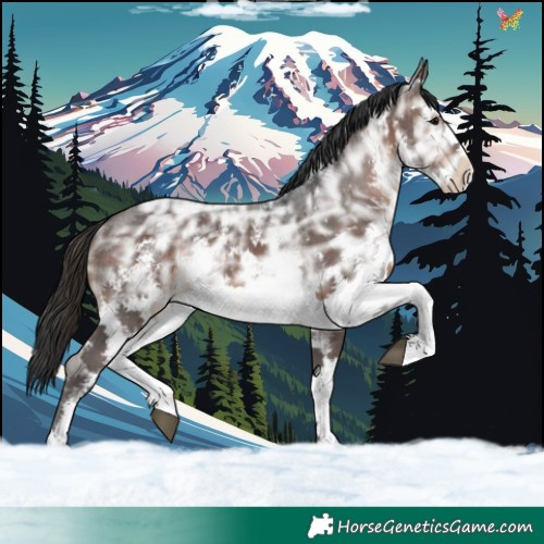 Horse Color:White Spotted Brown Ice Sabino