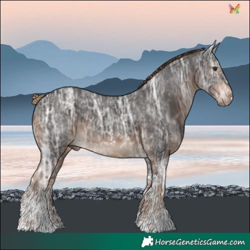 Horse Color:Liver Chestnut Ice Sabino 