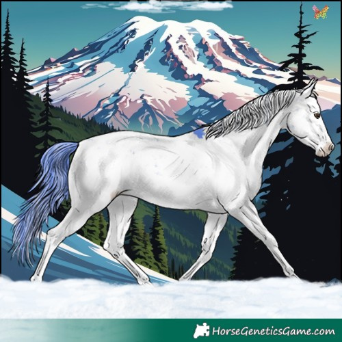 Horse Color:Watercolor Liver Chestnut Ice Sabino 