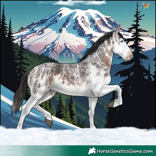 Horse Color:White Spotted Brown Ice Sabino Splash