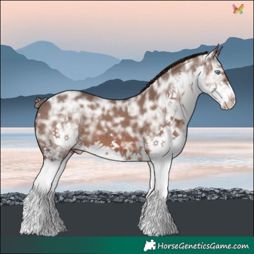 Horse Color:Liver Chestnut Ice Sabino Splash 