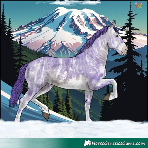 Horse Color:Watercolor White Spotted Brown Ice Sabino 