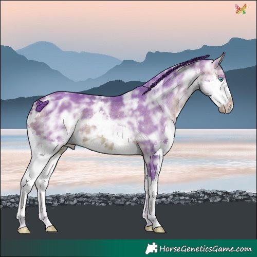 Horse Color:Watercolor White Spotted Brown Ice Splash 