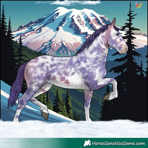 Horse Color:Watercolor White Spotted Bay Ice Sabino 