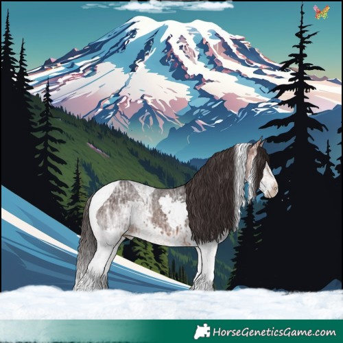 Horse Color:Bay Ice Splash Tobiano
