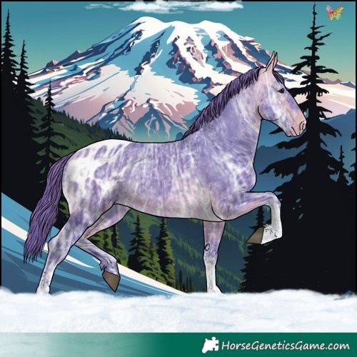 Horse Color:Watercolor Buckskin Ice Sabino Tobiano Appaloosa 