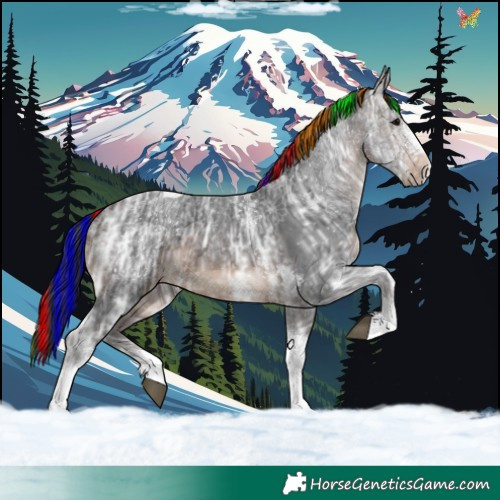 Horse Color:Painted Brown Ice Sabino Tobiano