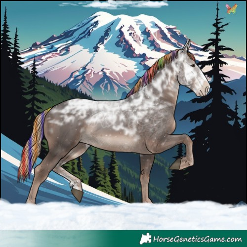 Horse Color:Painted Liver Chestnut Ice Sabino 