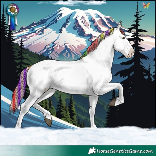 Horse Color:Painted Chestnut Ice Sabino 