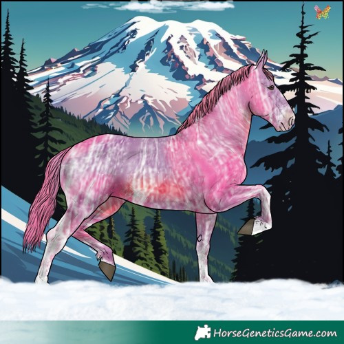 Horse Color:Watercolor Chestnut Ice Sabino Varnish 