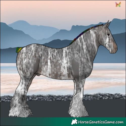 Horse Color:Painted Brown Ice Sabino Tobiano 