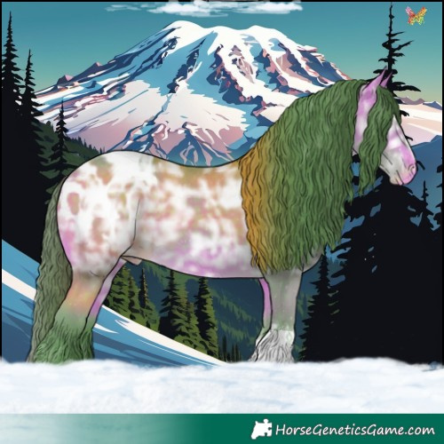 Horse Color:Watercolor Buckskin Ice Tobiano Appaloosa