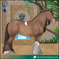 Horse Color:Sable Champagne Tobiano 