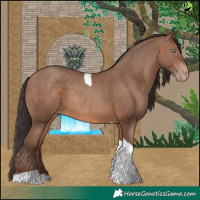 Horse Color:Sable Champagne Tobiano 