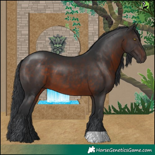 Horse Color:Brown 
