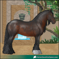 Horse Color:Brown 