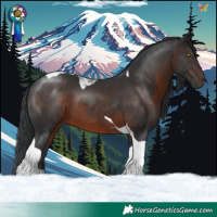 Horse Color:Brown Tobiano