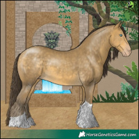 Horse Color:Sable Cream Champagne Tobiano 