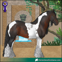 Horse Color:Brown Tobiano
