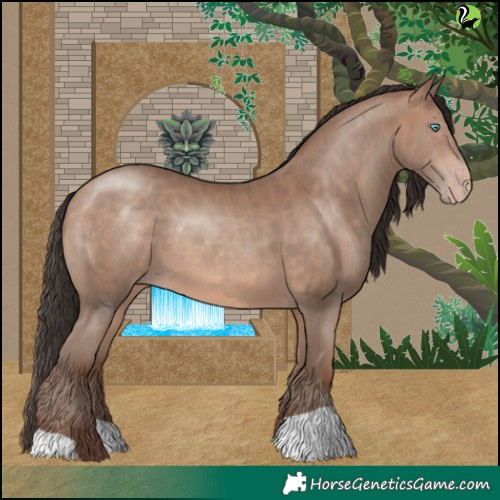 Horse Color:Sable Champagne 