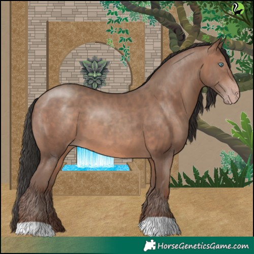 Horse Color:Sable Champagne