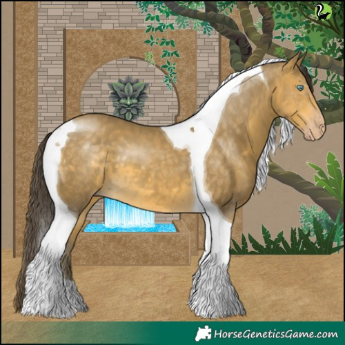 Horse Color:Sable Cream Champagne Tobiano 